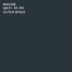 #29353B - Outer Space Color Image